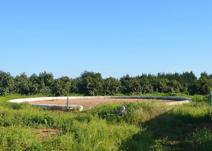 Quinta Das Figueiras